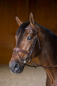 HFI Hoofdstel  Padded Trenshoofdstellen - Maddelin Equestrian HFI