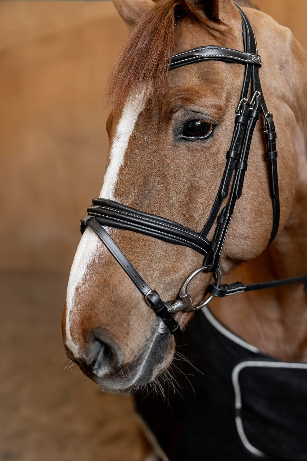 HFI Hoofdstel  Padded Trenshoofdstellen - Maddelin Equestrian HFI