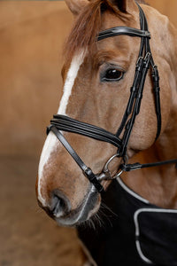 HFI Hoofdstel  Padded Trenshoofdstellen - Maddelin Equestrian HFI