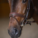 HFI Hoofdstel  Padded Trenshoofdstellen - Maddelin Equestrian HFI