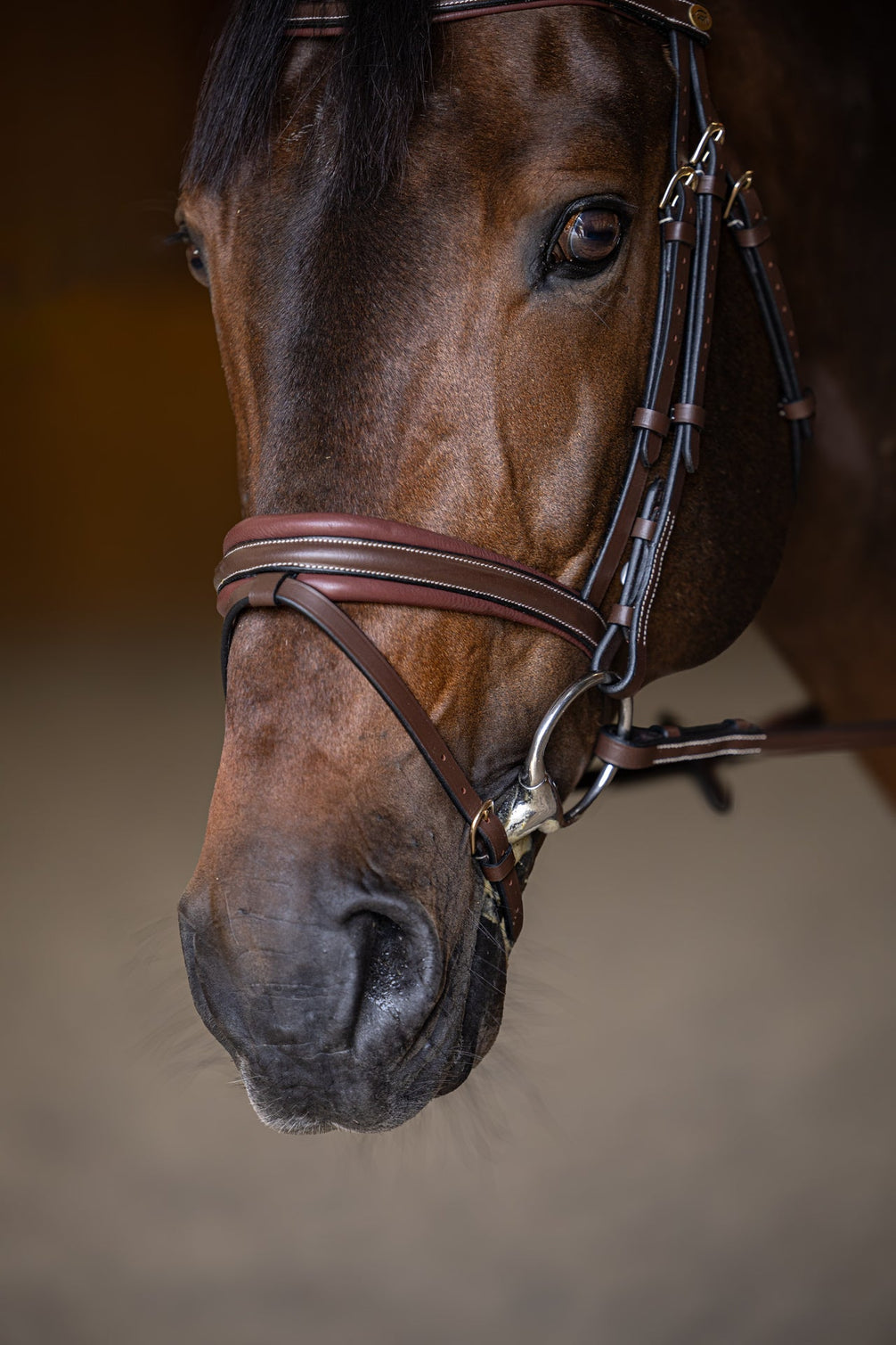HFI Hoofdstel  Padded Trenshoofdstellen - Maddelin Equestrian HFI
