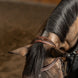 HFI Hoofdstel Pro Line Milano Trenshoofdstellen - Maddelin Equestrian HFI