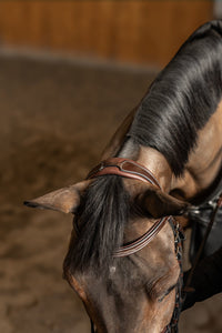 HFI Hoofdstel Pro Line Milano Trenshoofdstellen - Maddelin Equestrian HFI