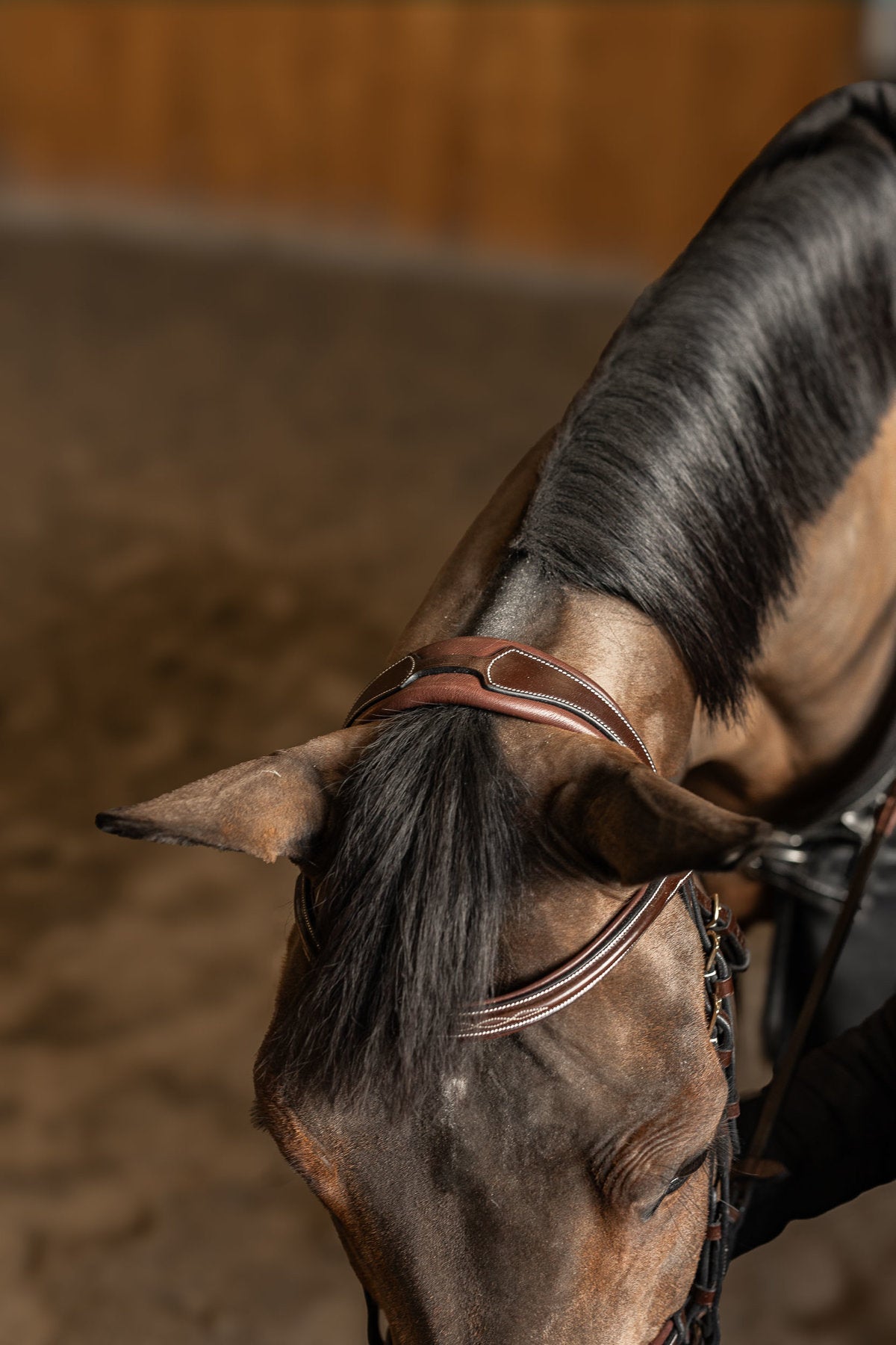 HFI Hoofdstel Pro Line Milano Trenshoofdstellen - Maddelin Equestrian HFI