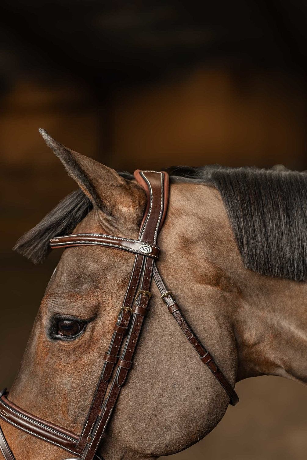 HFI Hoofdstel Pro Line Milano Trenshoofdstellen - Maddelin Equestrian HFI