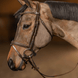 HFI Hoofdstel Pro Line Milano Trenshoofdstellen - Maddelin Equestrian HFI