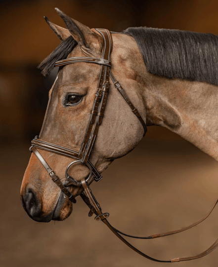 HFI Hoofdstel Pro Line Milano Trenshoofdstellen - Maddelin Equestrian HFI