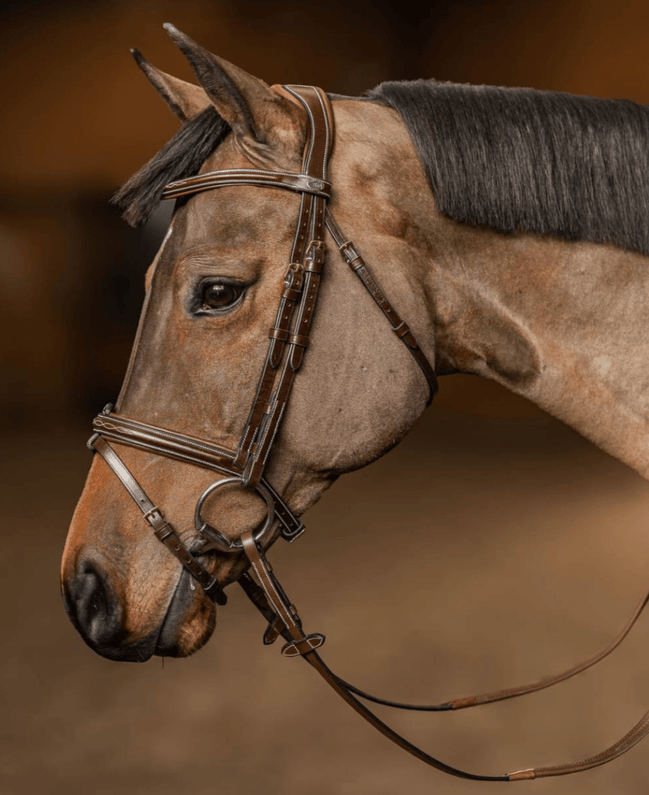 HFI Hoofdstel Pro Line Milano Trenshoofdstellen - Maddelin Equestrian HFI