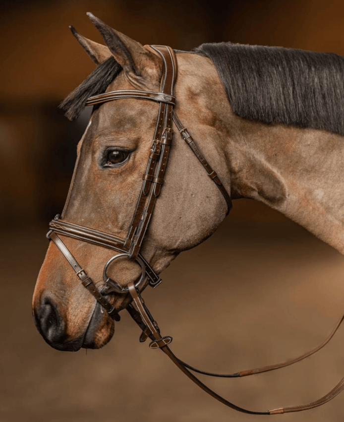 HFI Hoofdstel Pro Line Milano Trenshoofdstellen - Maddelin Equestrian HFI