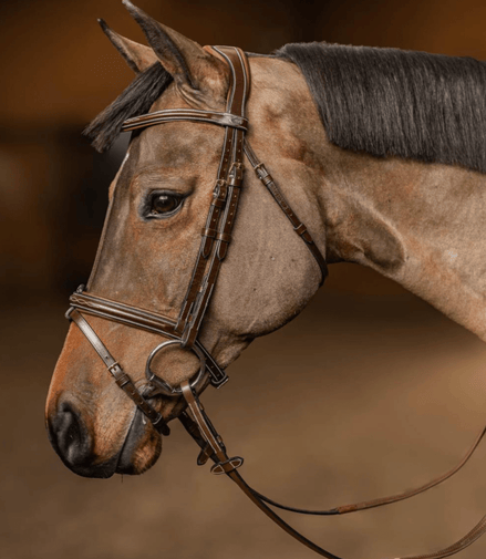 HFI Hoofdstel Pro Line Milano Trenshoofdstellen - Maddelin Equestrian HFI