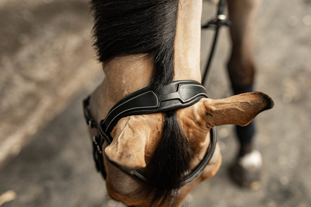 HFI Hoofdstel Pro Line Milano Trenshoofdstellen - Maddelin Equestrian HFI