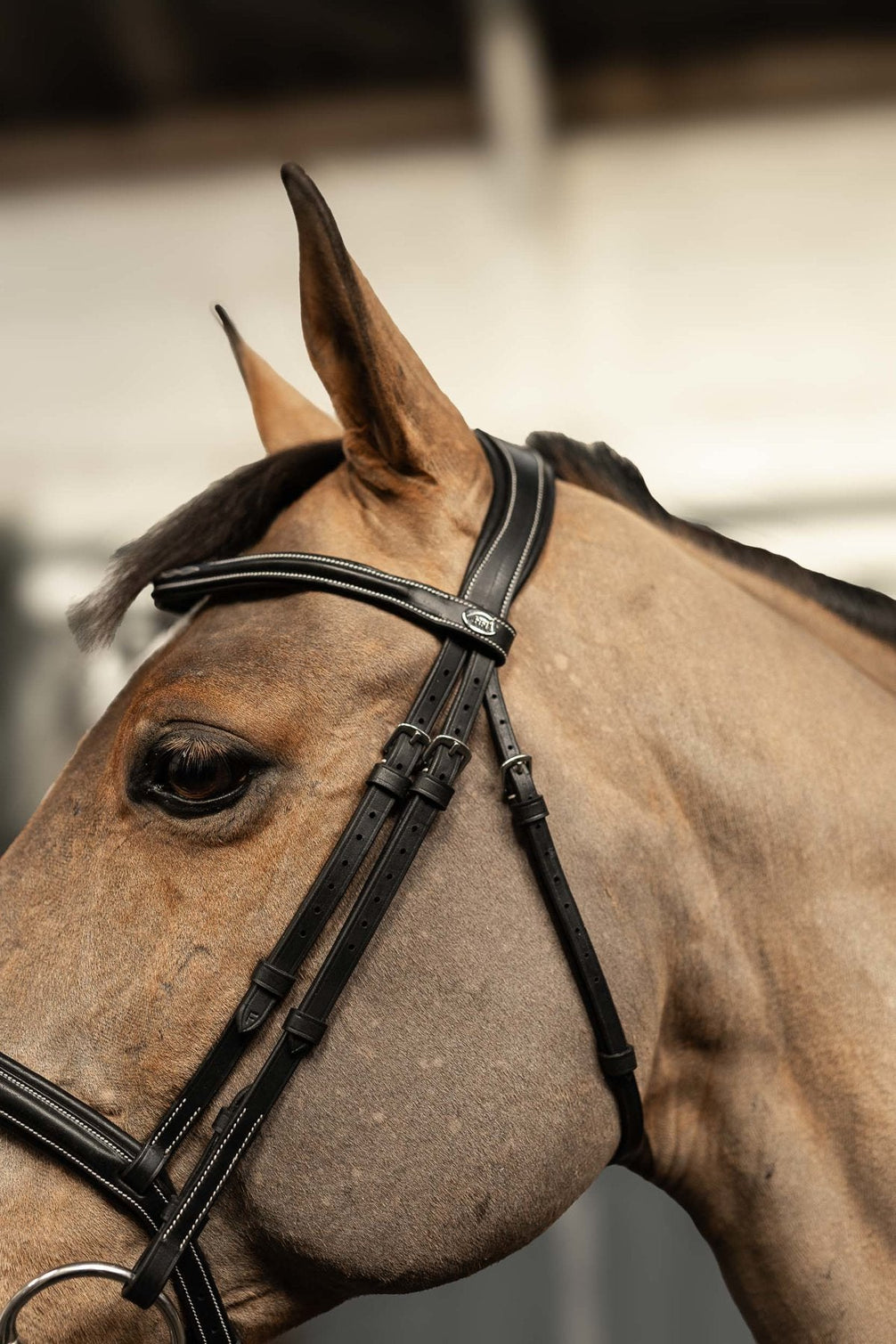 HFI Hoofdstel Pro Line Milano Trenshoofdstellen - Maddelin Equestrian HFI