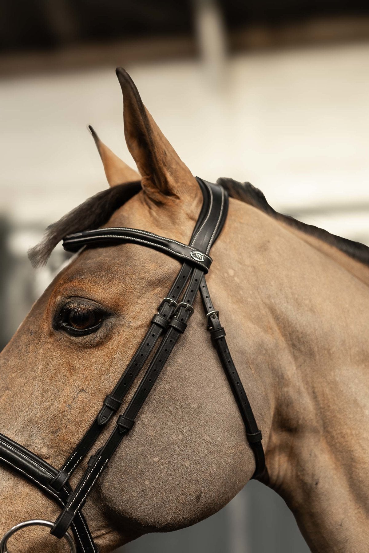 HFI Hoofdstel Pro Line Milano Trenshoofdstellen - Maddelin Equestrian HFI