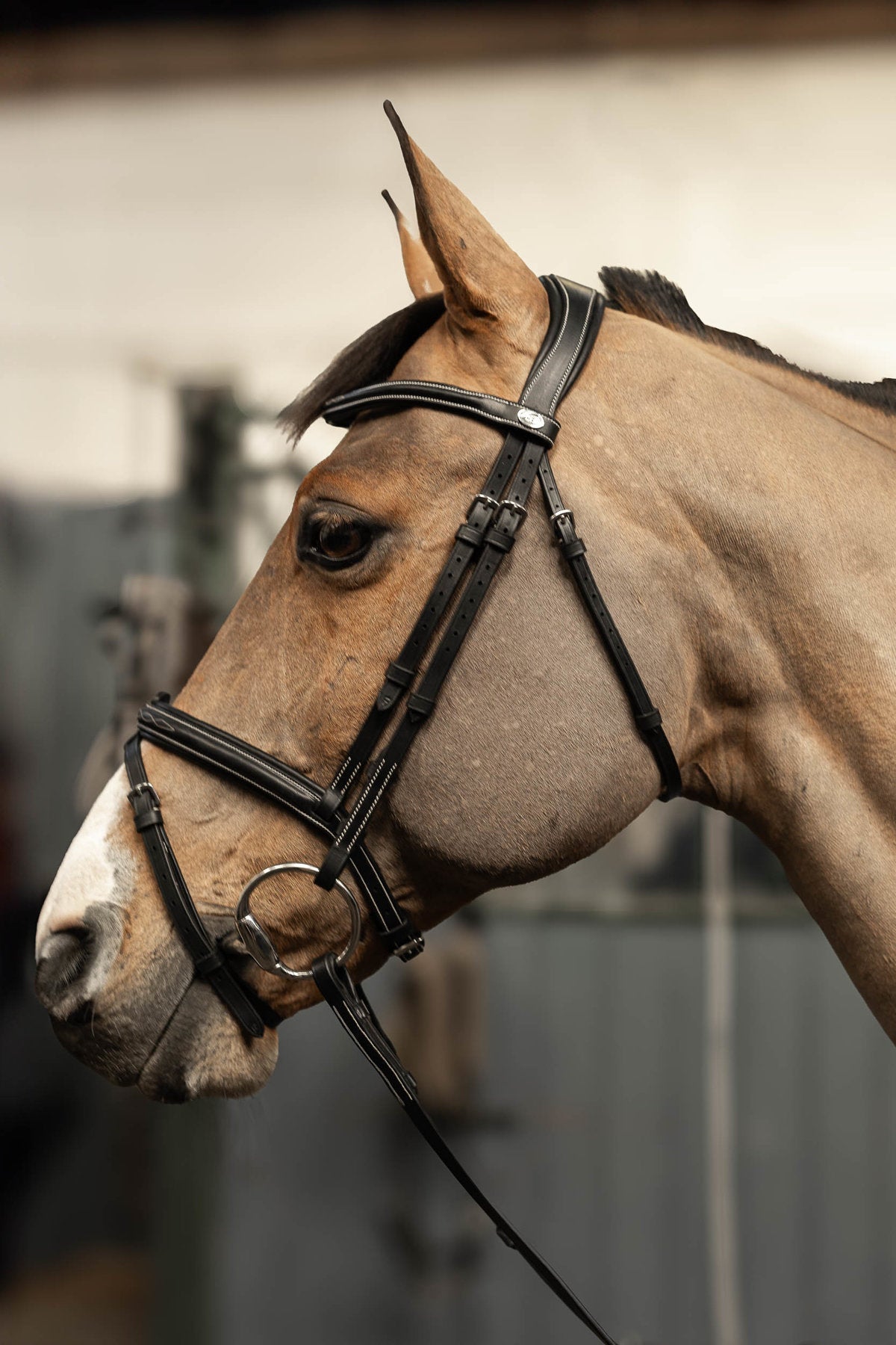 HFI Hoofdstel Pro Line Milano Trenshoofdstellen - Maddelin Equestrian HFI