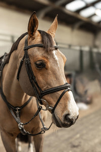 HFI Hoofdstel Pro Line Milano Trenshoofdstellen - Maddelin Equestrian HFI