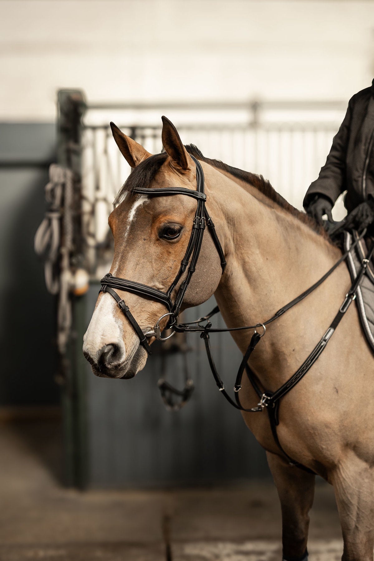 HFI Hoofdstel Pro Line Milano Trenshoofdstellen - Maddelin Equestrian HFI