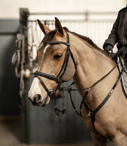 HFI Hoofdstel Pro Line Milano Trenshoofdstellen - Maddelin Equestrian HFI