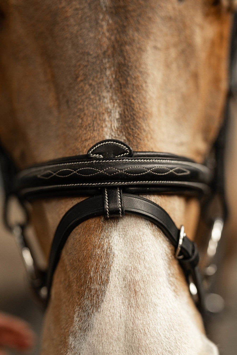 HFI Hoofdstel Pro Line Milano Trenshoofdstellen - Maddelin Equestrian HFI