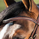 HFI Hoofdstel Techno Trenshoofdstellen - Maddelin Equestrian HFI