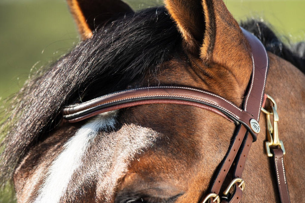 HFI Hoofdstel Techno Trenshoofdstellen - Maddelin Equestrian HFI