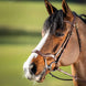 HFI Hoofdstel Techno Trenshoofdstellen - Maddelin Equestrian HFI