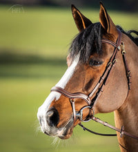 HFI Hoofdstel Techno Trenshoofdstellen - Maddelin Equestrian HFI