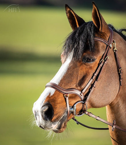 HFI Hoofdstel Techno Trenshoofdstellen - Maddelin Equestrian HFI