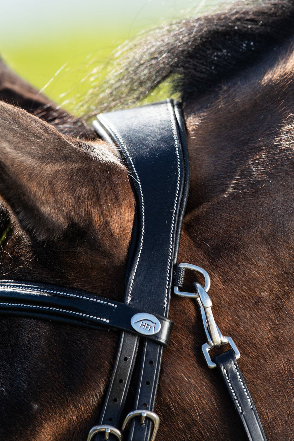 HFI Hoofdstel Techno Trenshoofdstellen - Maddelin Equestrian HFI