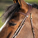 HFI Hoofdstel Techno Trenshoofdstellen - Maddelin Equestrian HFI