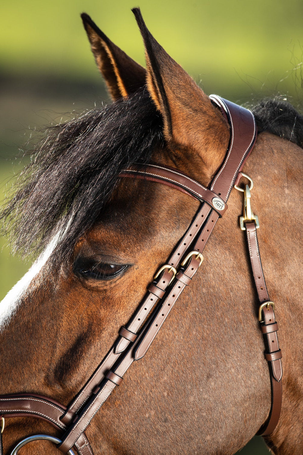 HFI Hoofdstel Techno Trenshoofdstellen - Maddelin Equestrian HFI
