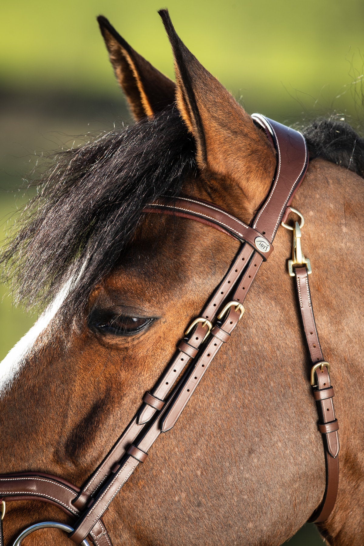 HFI Hoofdstel Techno Trenshoofdstellen - Maddelin Equestrian HFI