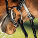 HFI Hoofdstel Techno Trenshoofdstellen - Maddelin Equestrian HFI