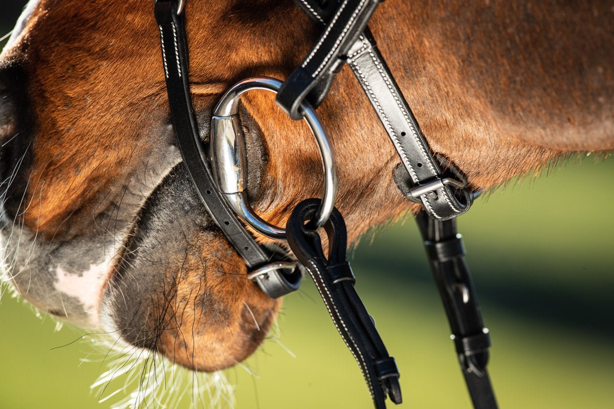 HFI Hoofdstel Techno Trenshoofdstellen - Maddelin Equestrian HFI