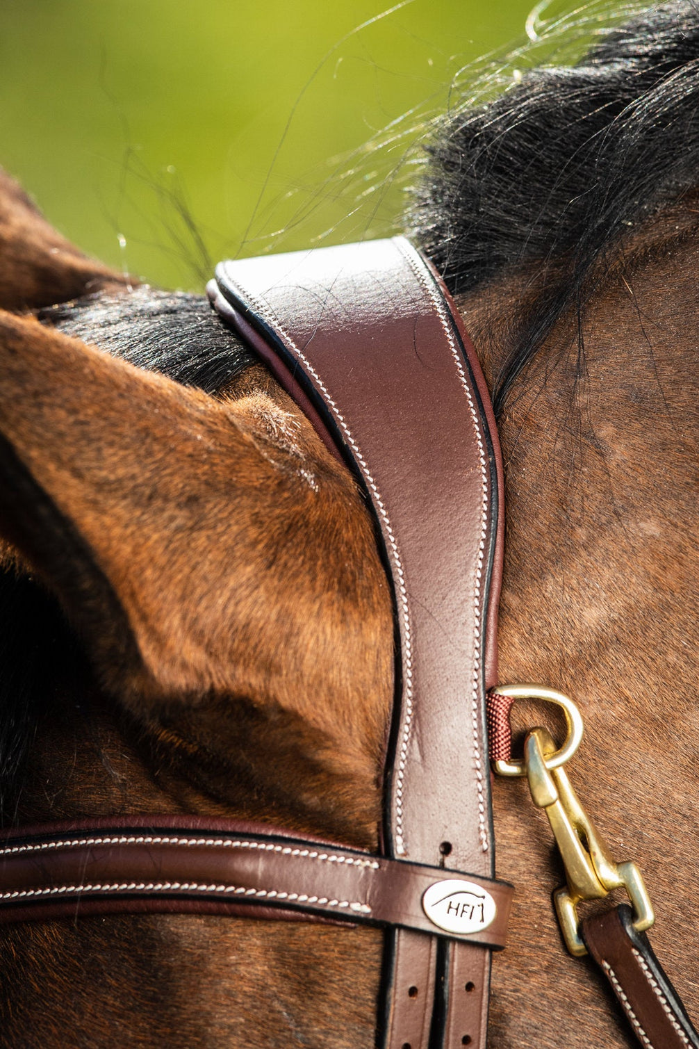 HFI Hoofdstel Techno Trenshoofdstellen - Maddelin Equestrian HFI