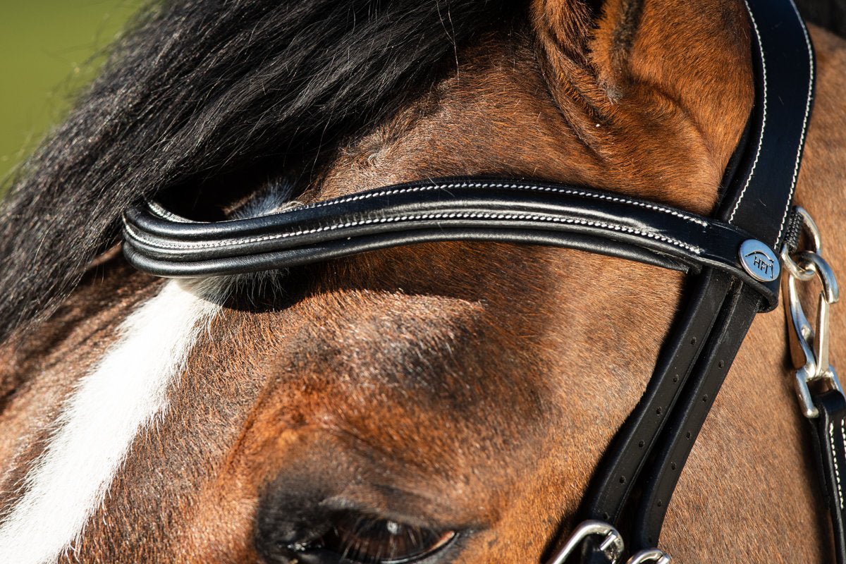 HFI Hoofdstel Techno Trenshoofdstellen - Maddelin Equestrian HFI