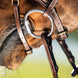 HFI Hoofdstel Techno Trenshoofdstellen - Maddelin Equestrian HFI