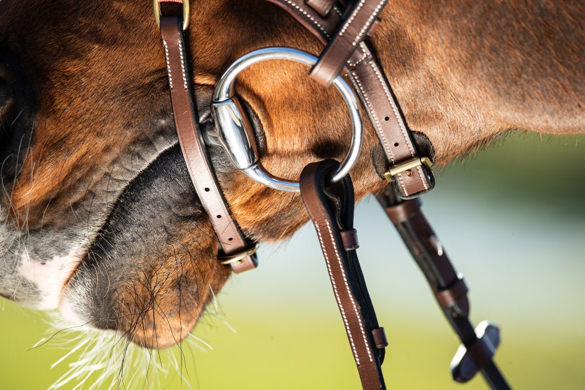 HFI Hoofdstel Techno Trenshoofdstellen - Maddelin Equestrian HFI