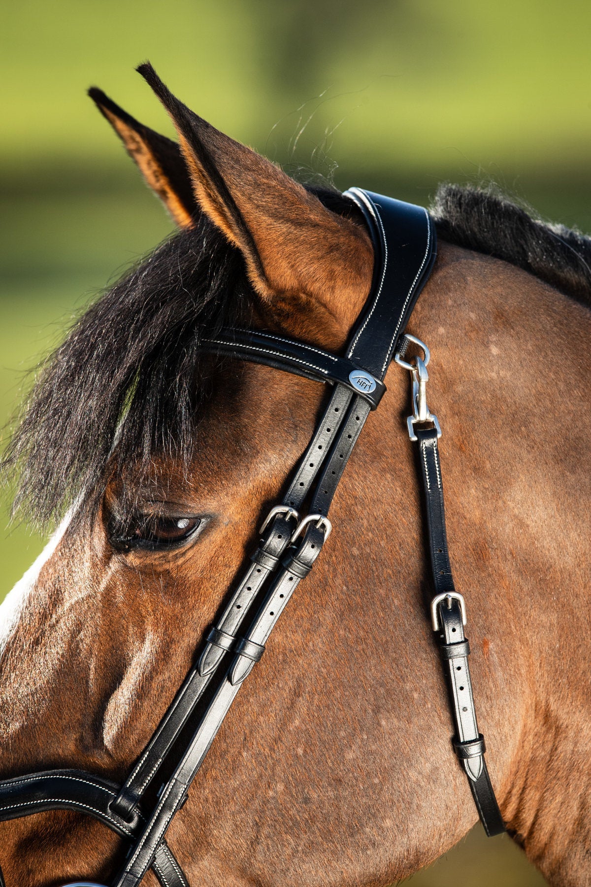 HFI Hoofdstel Techno Trenshoofdstellen - Maddelin Equestrian HFI