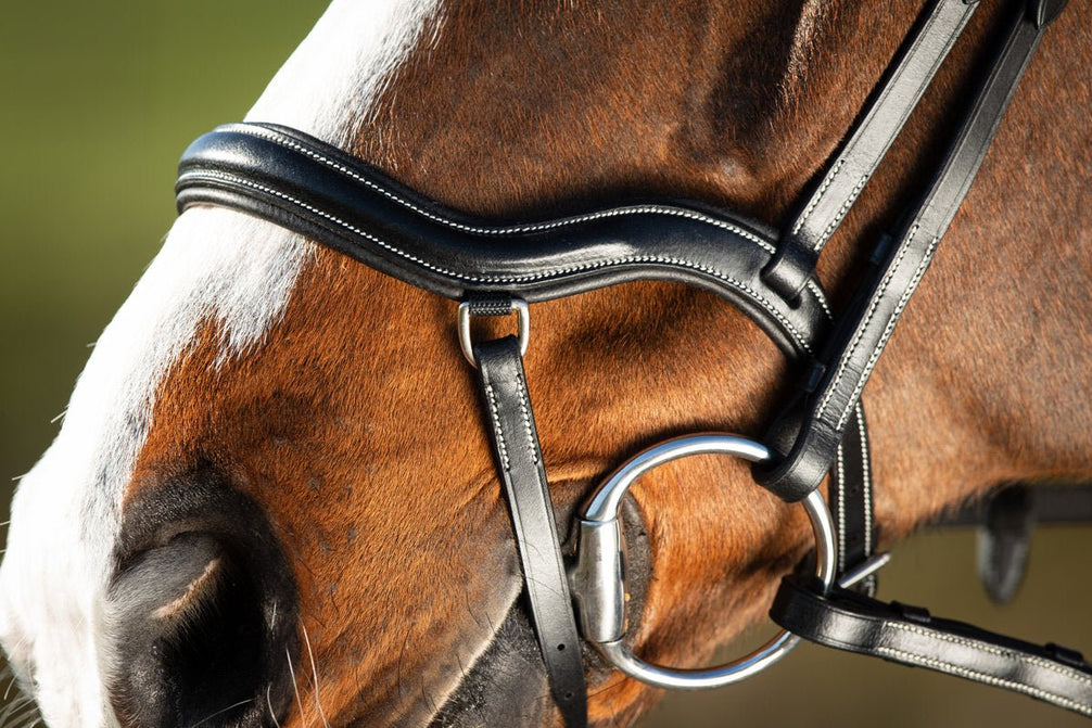 HFI Hoofdstel Techno Trenshoofdstellen - Maddelin Equestrian HFI