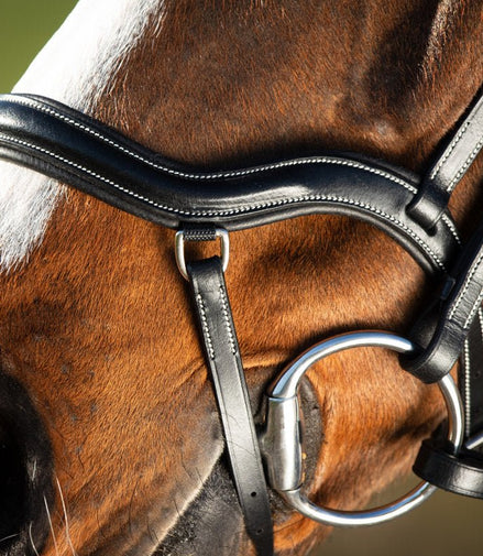 HFI Hoofdstel Techno Trenshoofdstellen - Maddelin Equestrian HFI