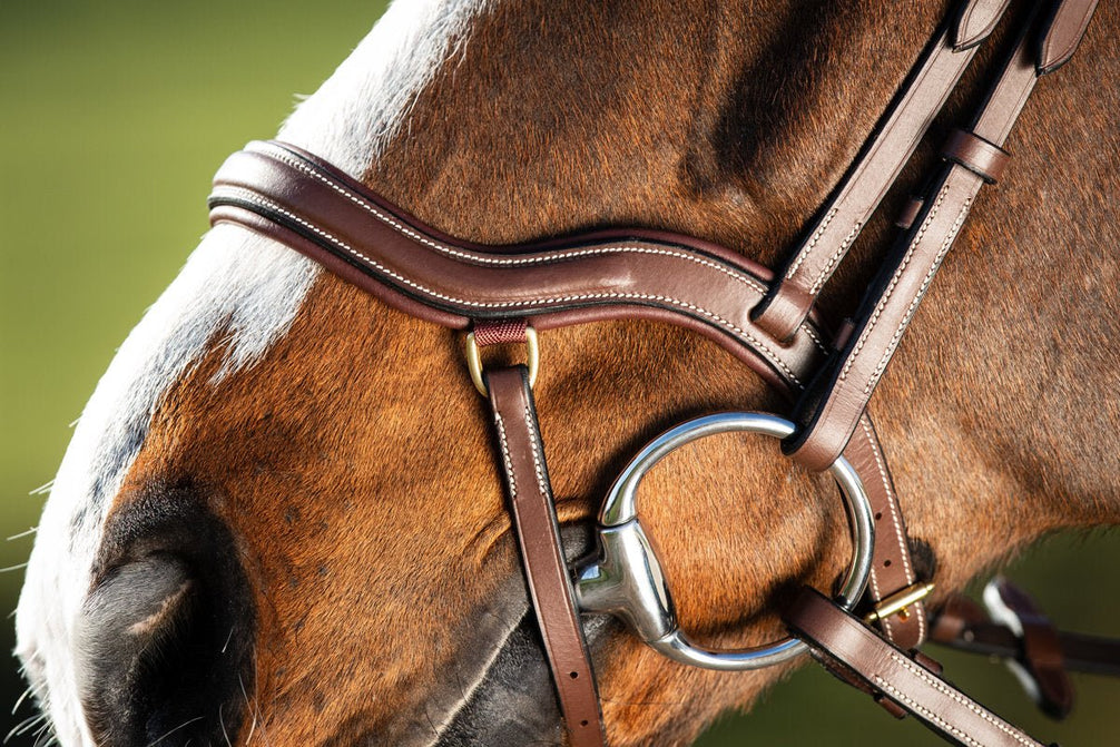 HFI Hoofdstel Techno Trenshoofdstellen - Maddelin Equestrian HFI