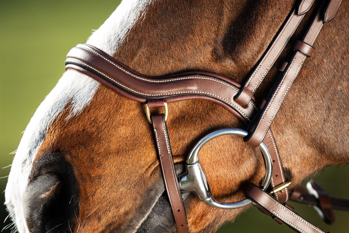 HFI Hoofdstel Techno Trenshoofdstellen - Maddelin Equestrian HFI
