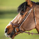 HFI Hoofdstel Techno Trenshoofdstellen - Maddelin Equestrian HFI