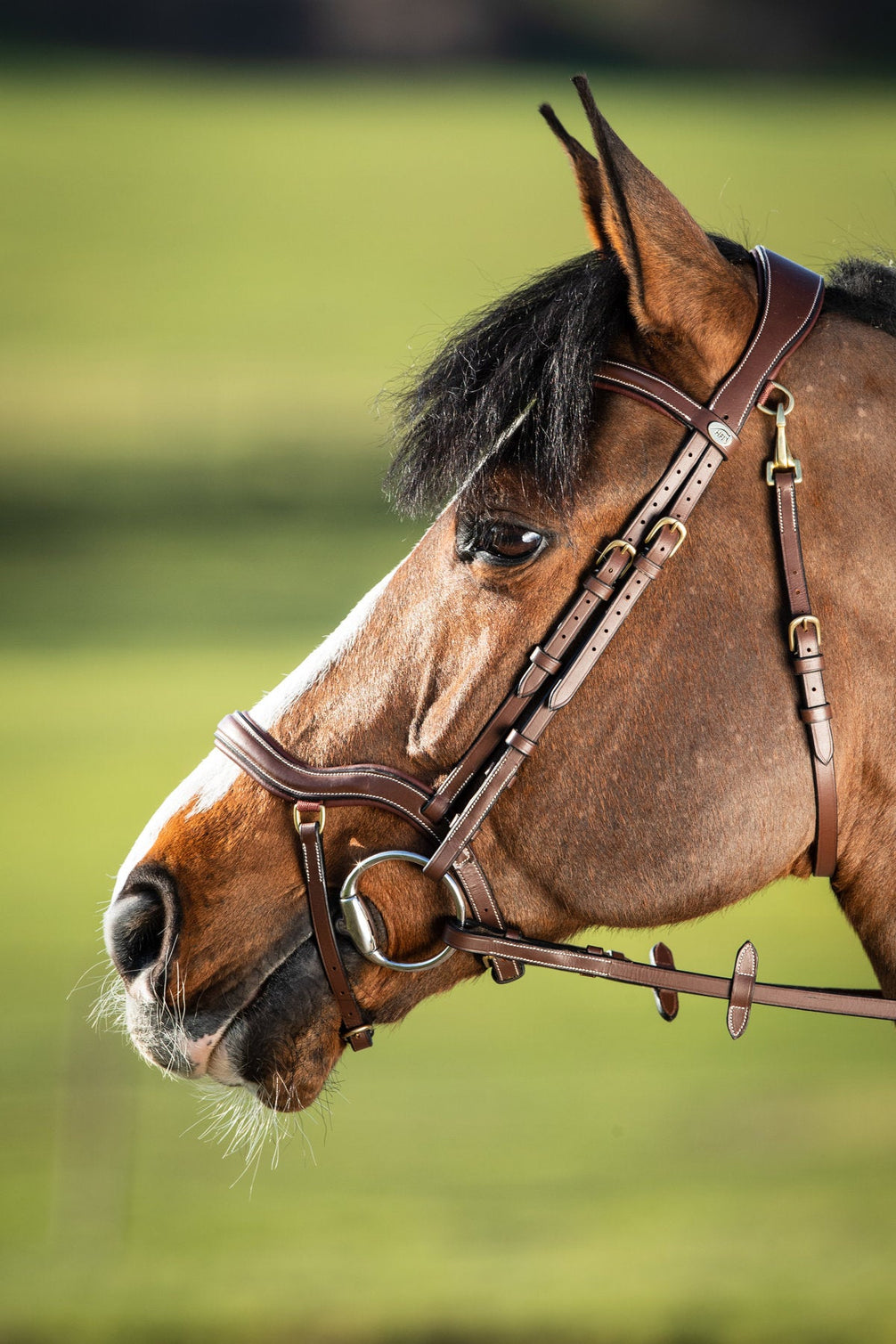 HFI Hoofdstel Techno Trenshoofdstellen - Maddelin Equestrian HFI