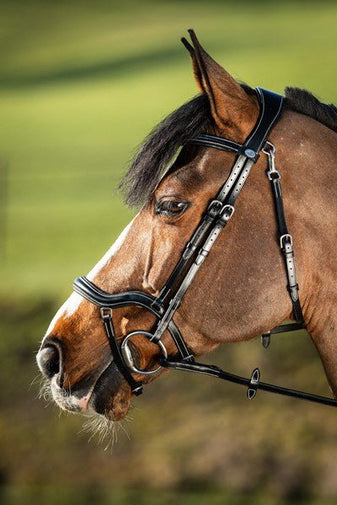 HFI Hoofdstel Techno Trenshoofdstellen - Maddelin Equestrian HFI