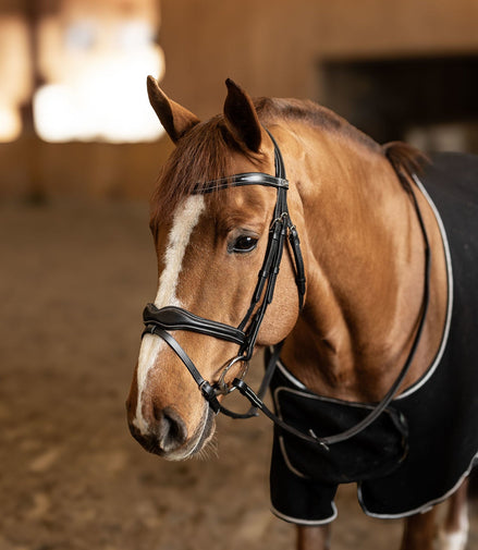 HFI Hoofdstel Wavy Trenshoofdstellen - Maddelin Equestrian HFI