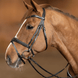 HFI Hoofdstel Wavy Trenshoofdstellen - Maddelin Equestrian HFI