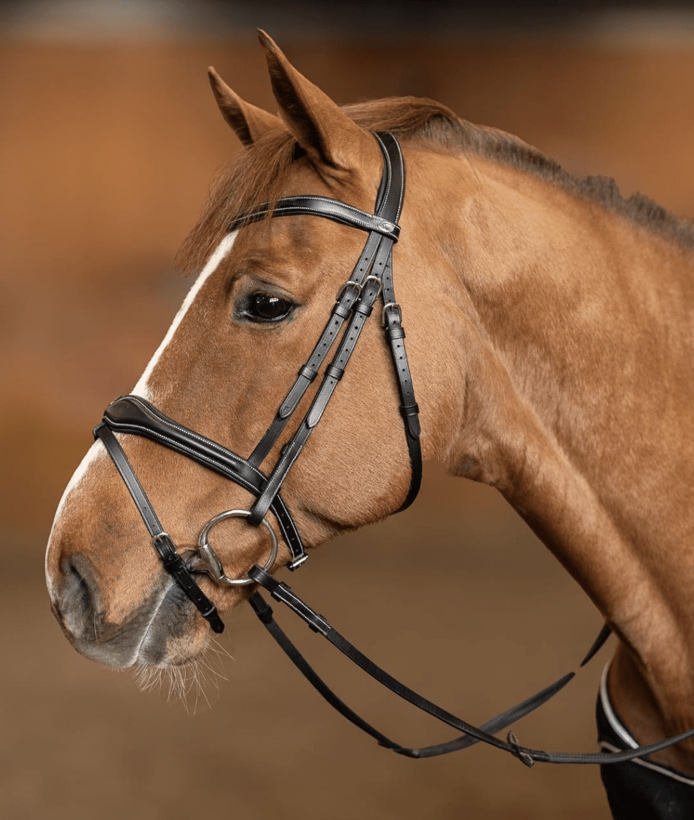 HFI Hoofdstel Wavy Trenshoofdstellen - Maddelin Equestrian HFI