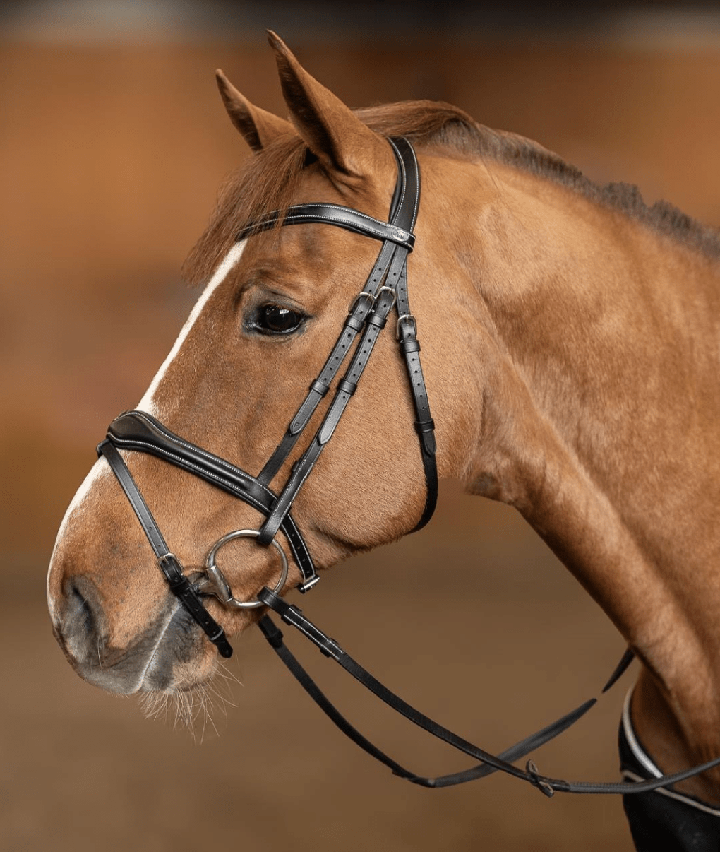 HFI Hoofdstel Wavy Trenshoofdstellen - Maddelin Equestrian HFI