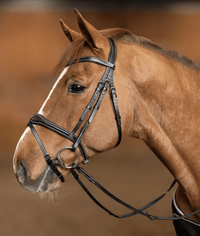 HFI Hoofdstel Wavy Trenshoofdstellen - Maddelin Equestrian HFI